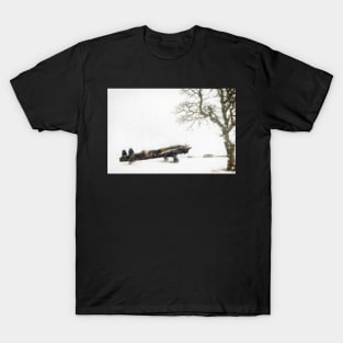 No Flying Today T-Shirt